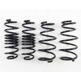 RS-R 2011-2016 Honda CR-Z (ZF1) Down Sus Springs