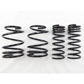 RS-R 13+ Subaru Impreza (GP7) Down Sus Springs