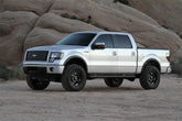 Fabtech Ford F150 4in Rear Performance Replacement Shock Absorber - Single
