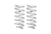Eibach 18-24 Ford Expedition Stage 1 Rear Spring System