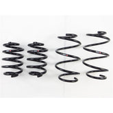 RS-R 09+ Nissan GT-R TI2000 Down Sus Springs