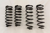 RS-R 01-06 Lexus LS430 (UCF30/31) Down Sus Springs