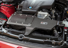 AWE Tuning BMW 228i/320i/328i/428i S-FLO Carbon input