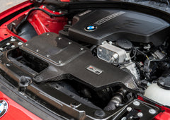AWE Tuning BMW 228i/320i/328i/428i S-FLO Carbon input