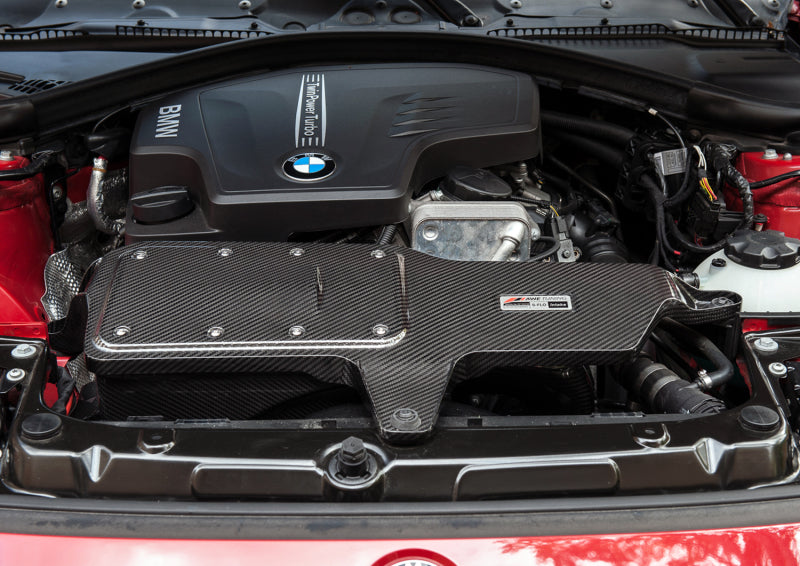 AWE Tuning BMW 228i/320i/328i/428i S-FLO Carbon input