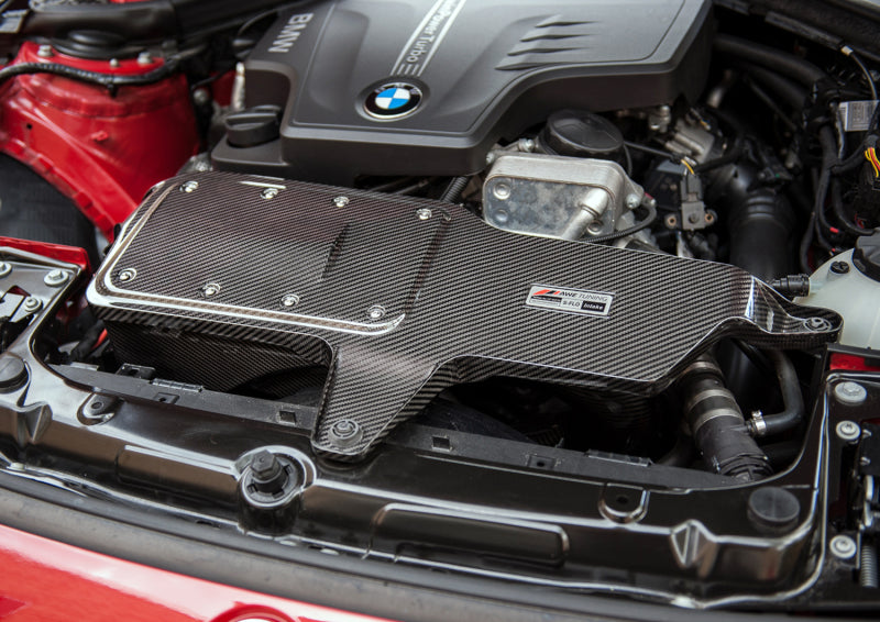 AWE Tuning BMW 228i/320i/328i/428i S-FLO Carbon input