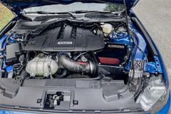 مدخل هواء من ألياف الكربون المزورة لسيارة فورد موستانج GT 5.0 لتر V8 موديل 18-23 كورسا مع تقنية DryTech 3D بدون زيت